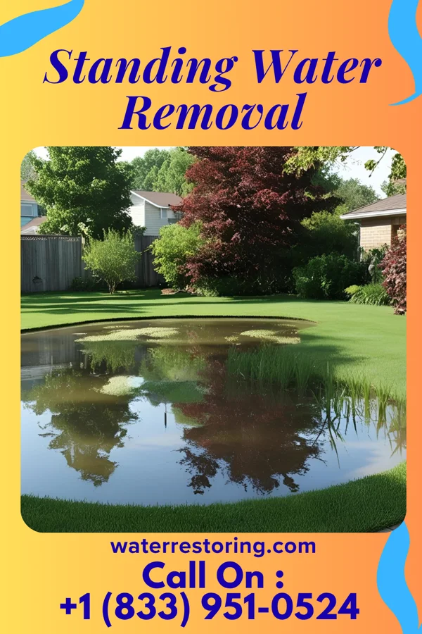 Standing Water Removal in Waupaca, WI